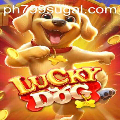 Exploring LuckyDog: An In-Depth Look at the Game and Strategy